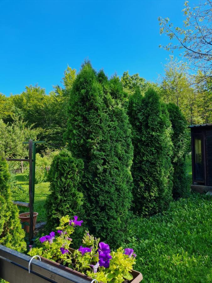 Kuca Za Odmor Hodak Plitvička Jezera Dış mekan fotoğraf